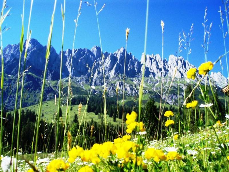 Gaestehaus Gschwandtner มึลบาค อัม โฮคเคอนิก ภายนอก รูปภาพ